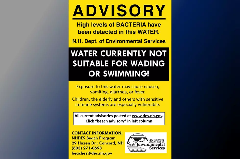 4 Seacoast Beaches Test for High Bacteria, Including 2 in Rye, New Hampshire